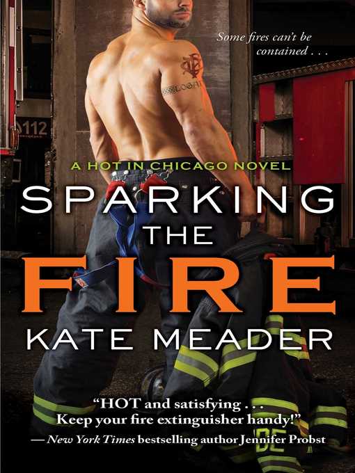 Title details for Sparking the Fire by Kate Meader - Available